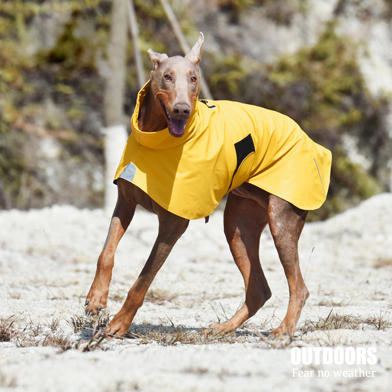 Pet Shell Jacket Dog Waterproof Windproof Raincoat Pets Fashion