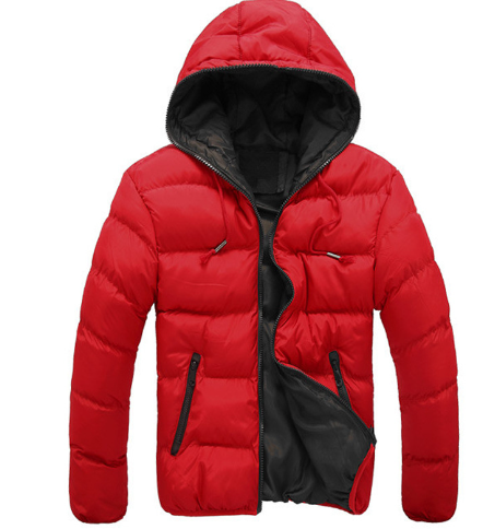 Winter Jacket, Cotton Coat, Padded Jacket Pi-Mart