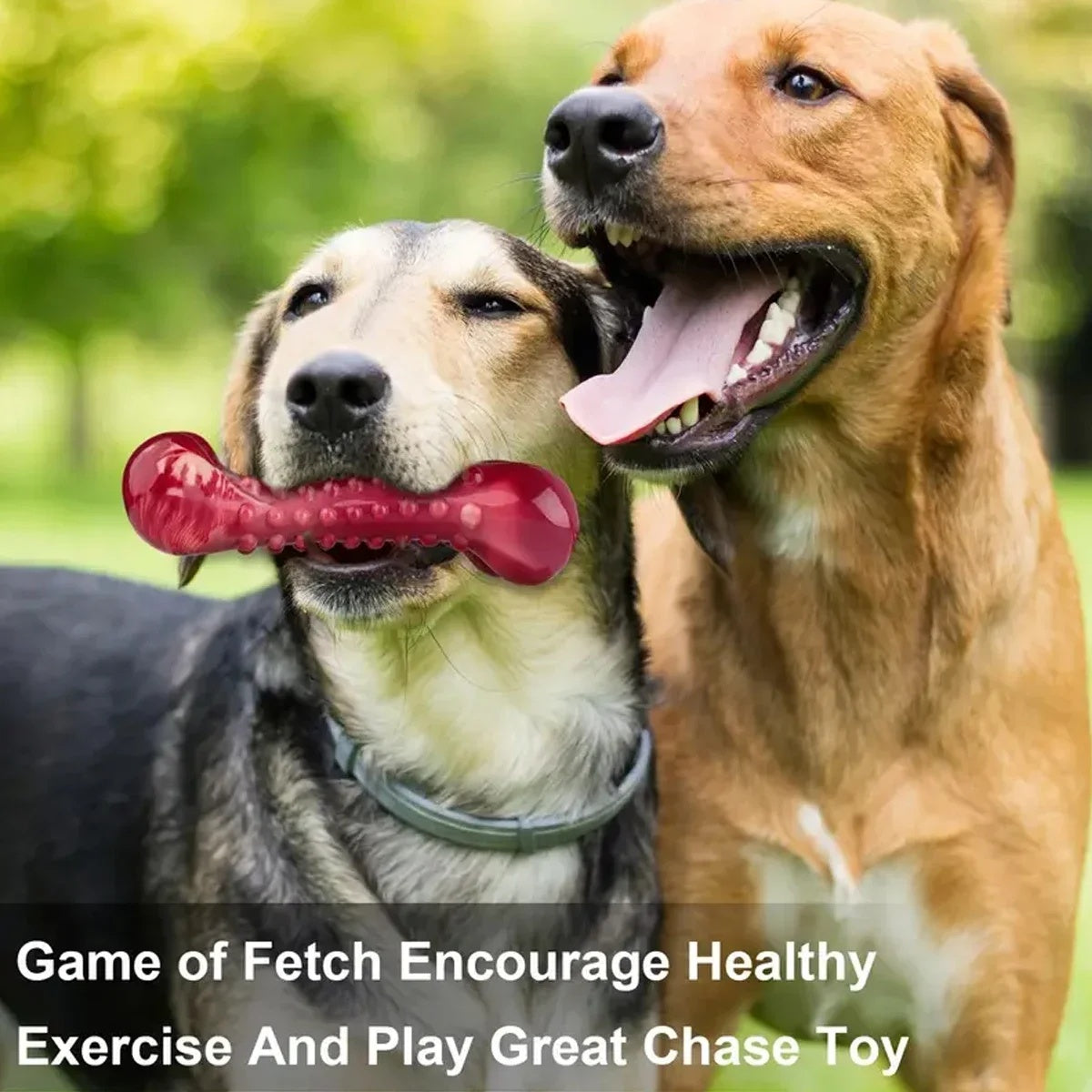 Natural Rubber Chew Toy Suitable For Aggressive Dogs - Durable And Long-Lasting Suitable For Dogs Chewing Heavy Objects Best YouTube Store