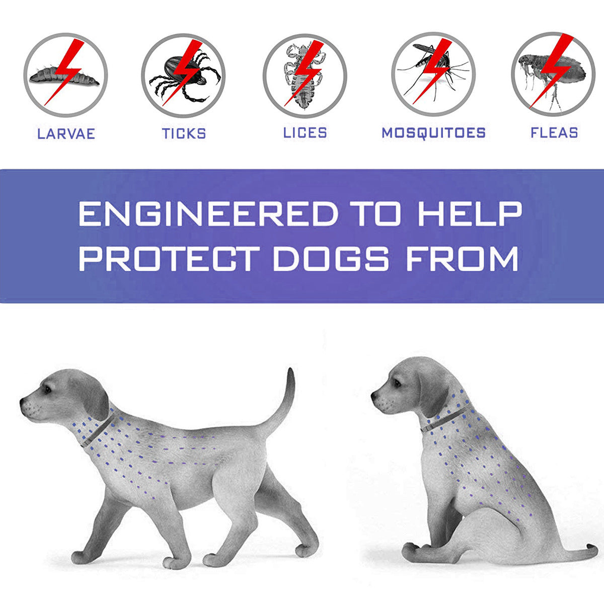Dog And Cat Collars To Remove Fleas And Repel Mosquitoes Pets Fashion