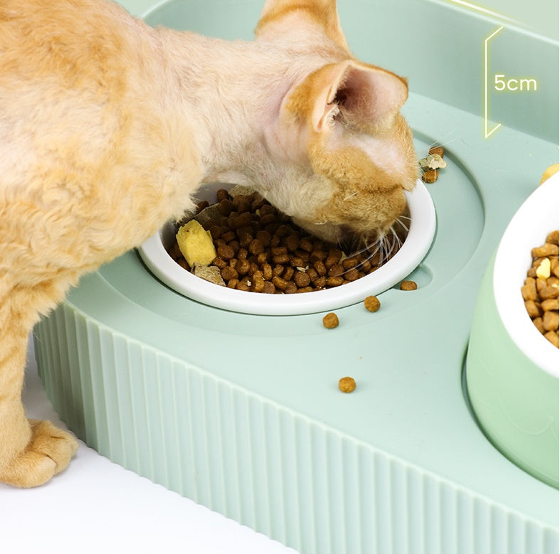 Pet Cat Bowl Ceramic Food Bowl Protect Cervical Spine Food Bowl Food Bowl Pets Fashion