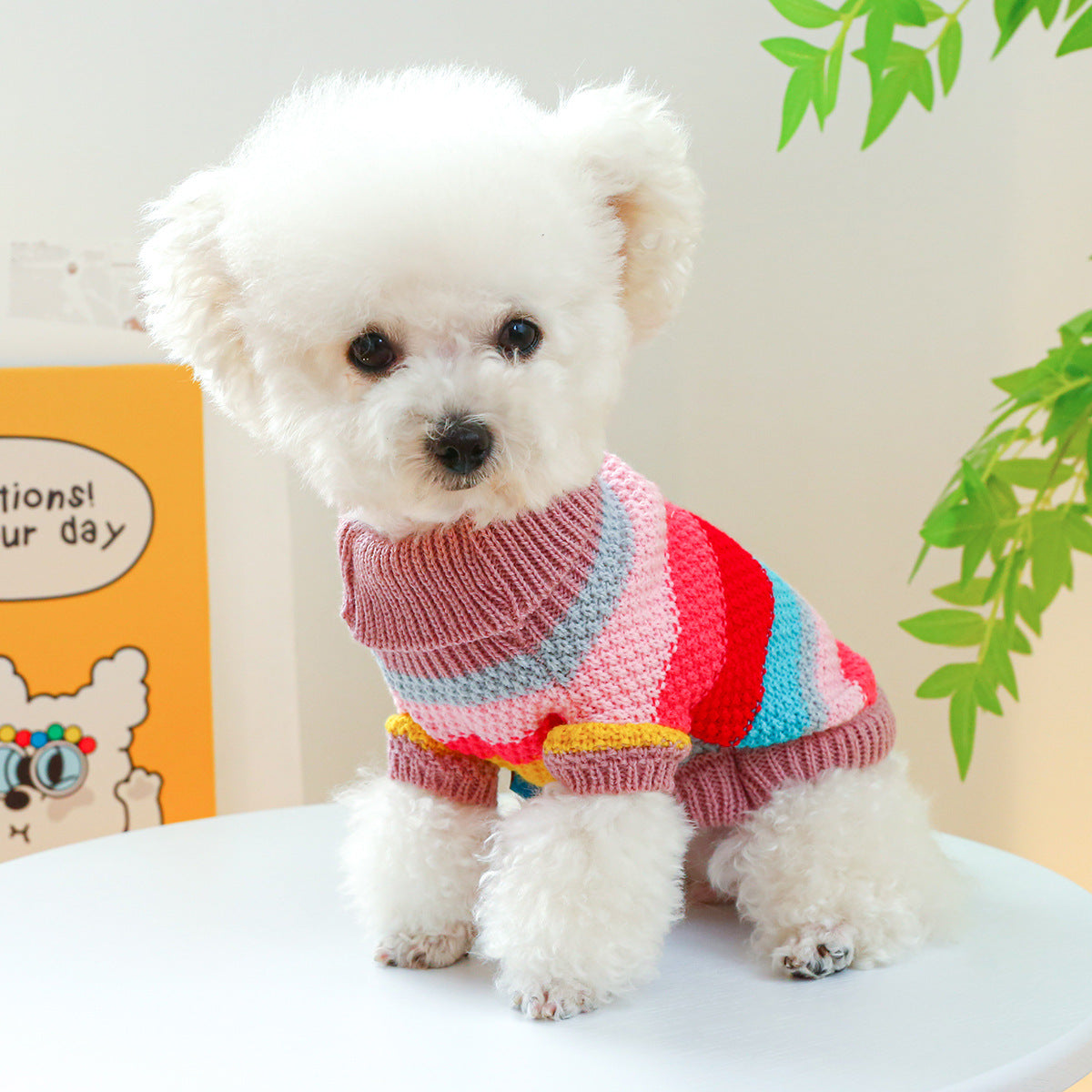 Pet Ring Comfortable Color Stripes Colorful Sweater Pets Fashion