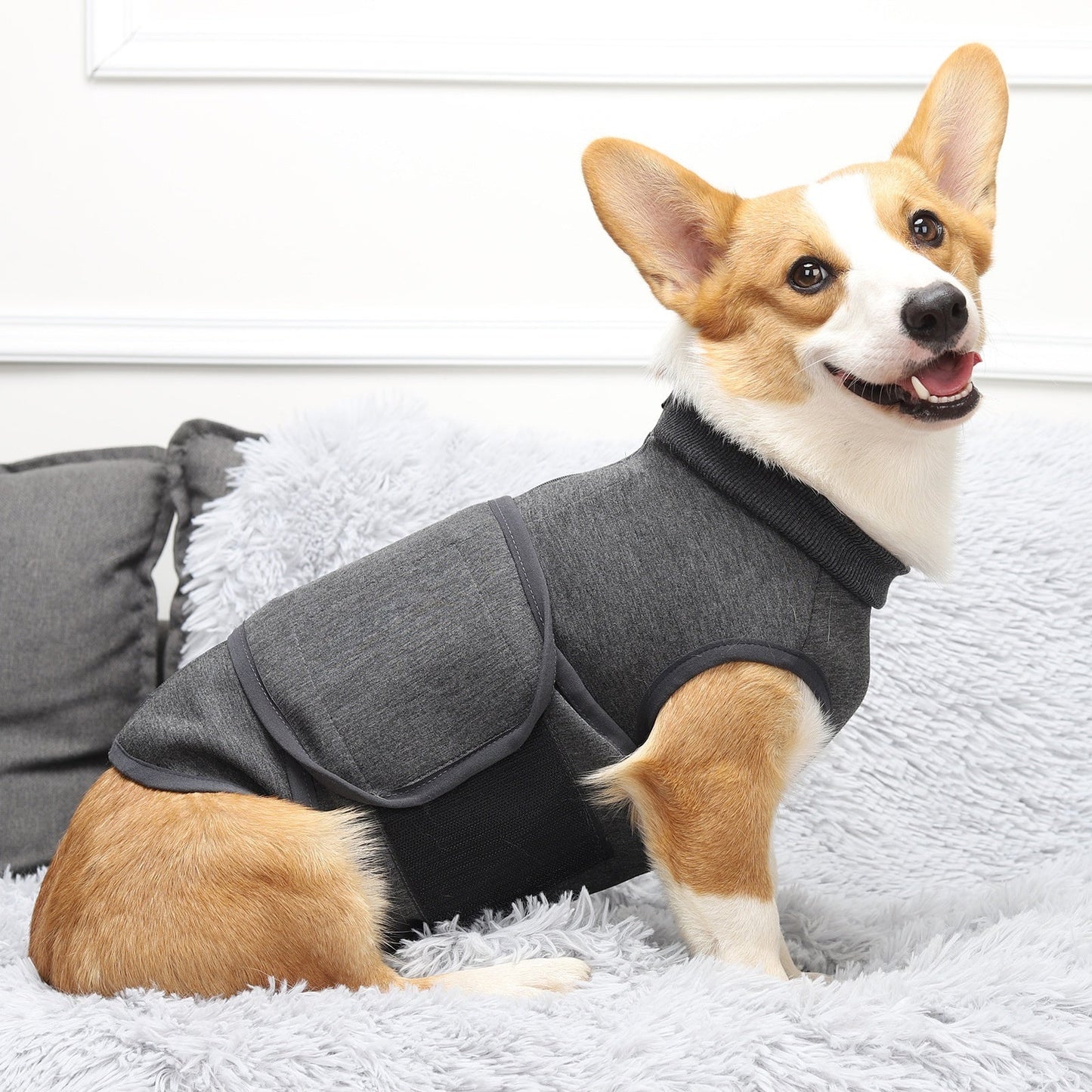 Soothing Clothes Anti-scare Pet Mood Soothing Clothes Pets Fashion