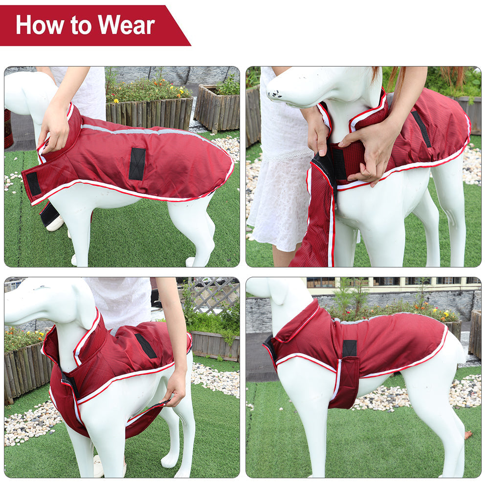 Autumn And Winter Warm Pet Leisure Waterproof Jacket Pets Fashion