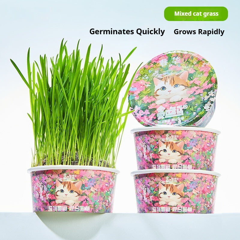 Soil-free Mixed Cat Grass Treats Pets Fashion
