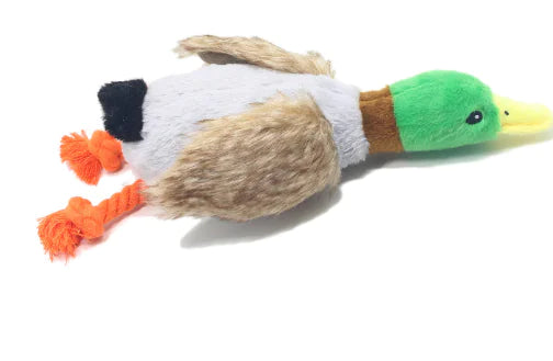 Quack Play Plush Dog Toy