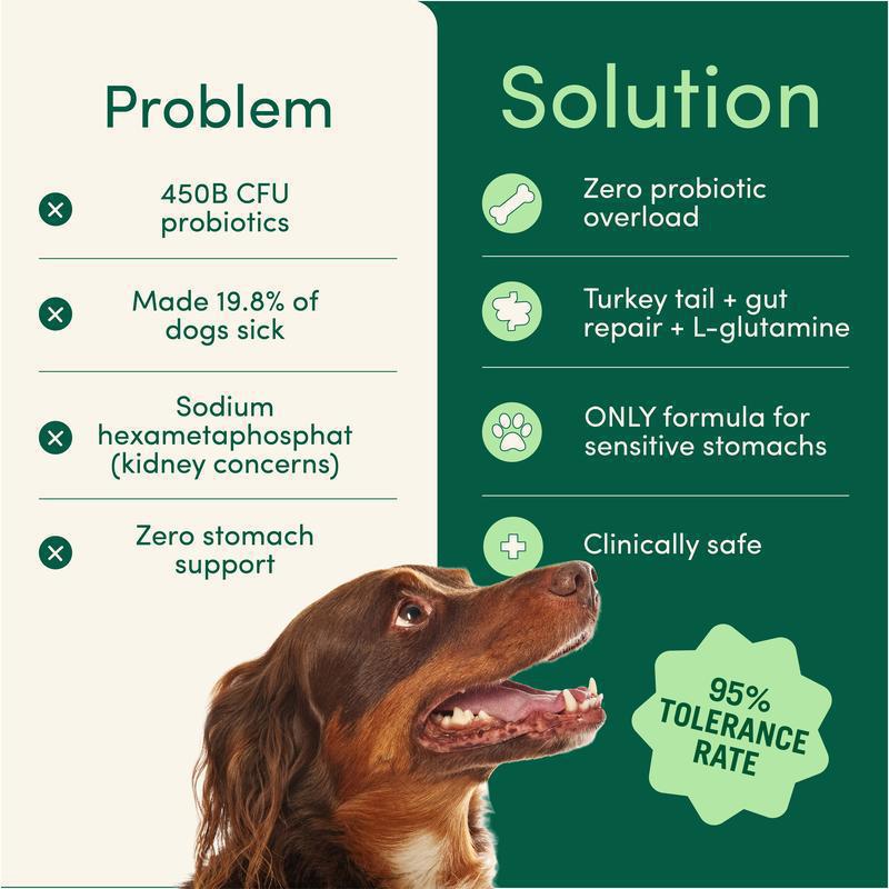 Pet Oral Care Powder Dog Teeth-Cleaning Powder Pets Fashion