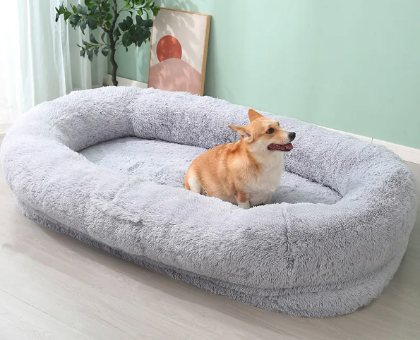 Human-sized Washable and Removable Dog Bed Best YouTube Store