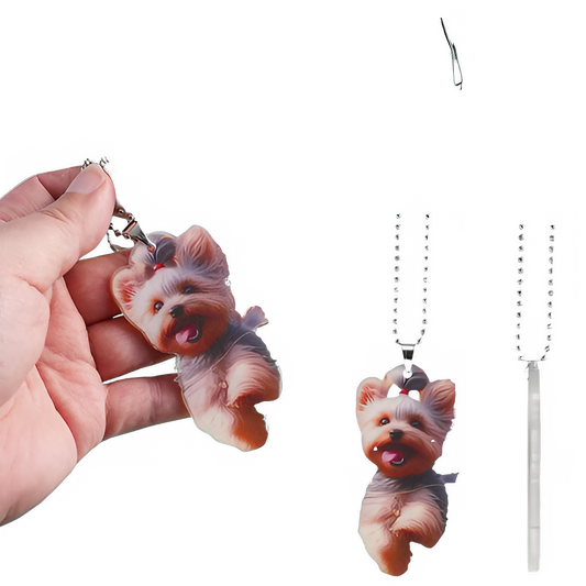 ed720d8d-99a9-464d-bd51-1e29136d324e