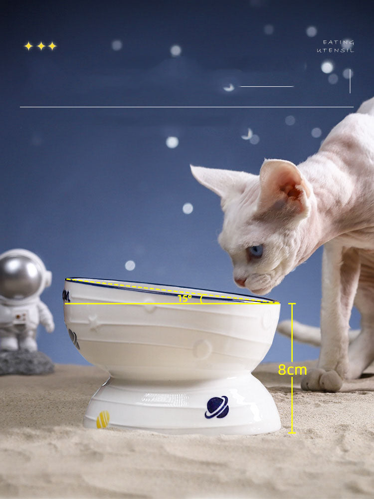 Ceramic Slanted Tall Cat Food Bowl Pets Fashion