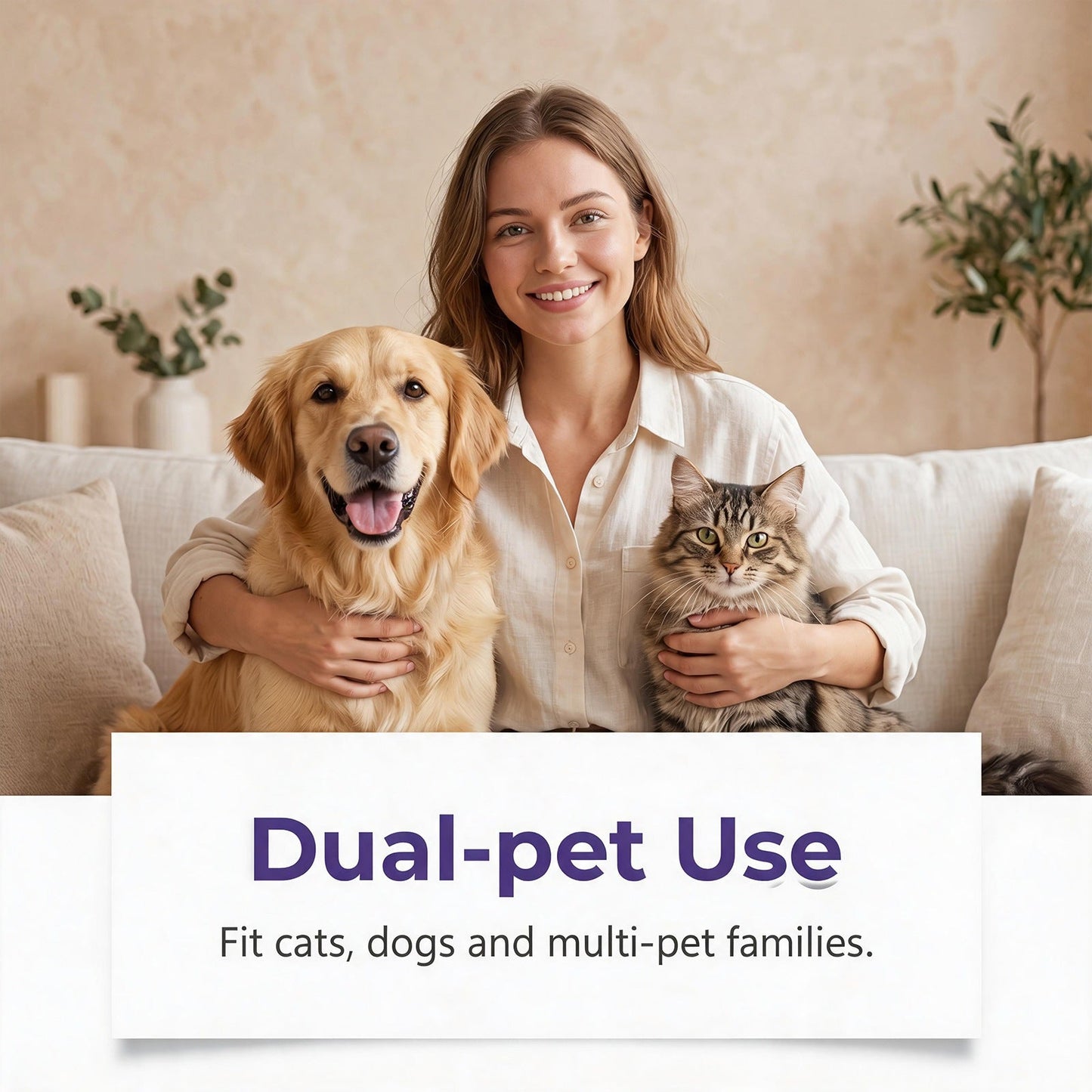 Eye Drops For Pets Pets Fashion