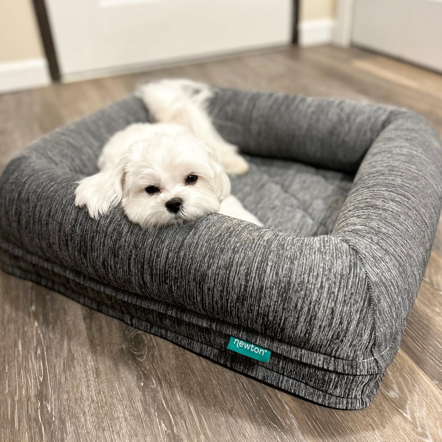 Newton Orthopedic Pet Bed - Washable Dog Bed for Small Dogs Puppy Bed Crate Bed with Removable & Breathable Dog Bed Cover Comfy & Durable Dog Bed for Small to Large Dogs Dog Essentials Small Best YouTube Store