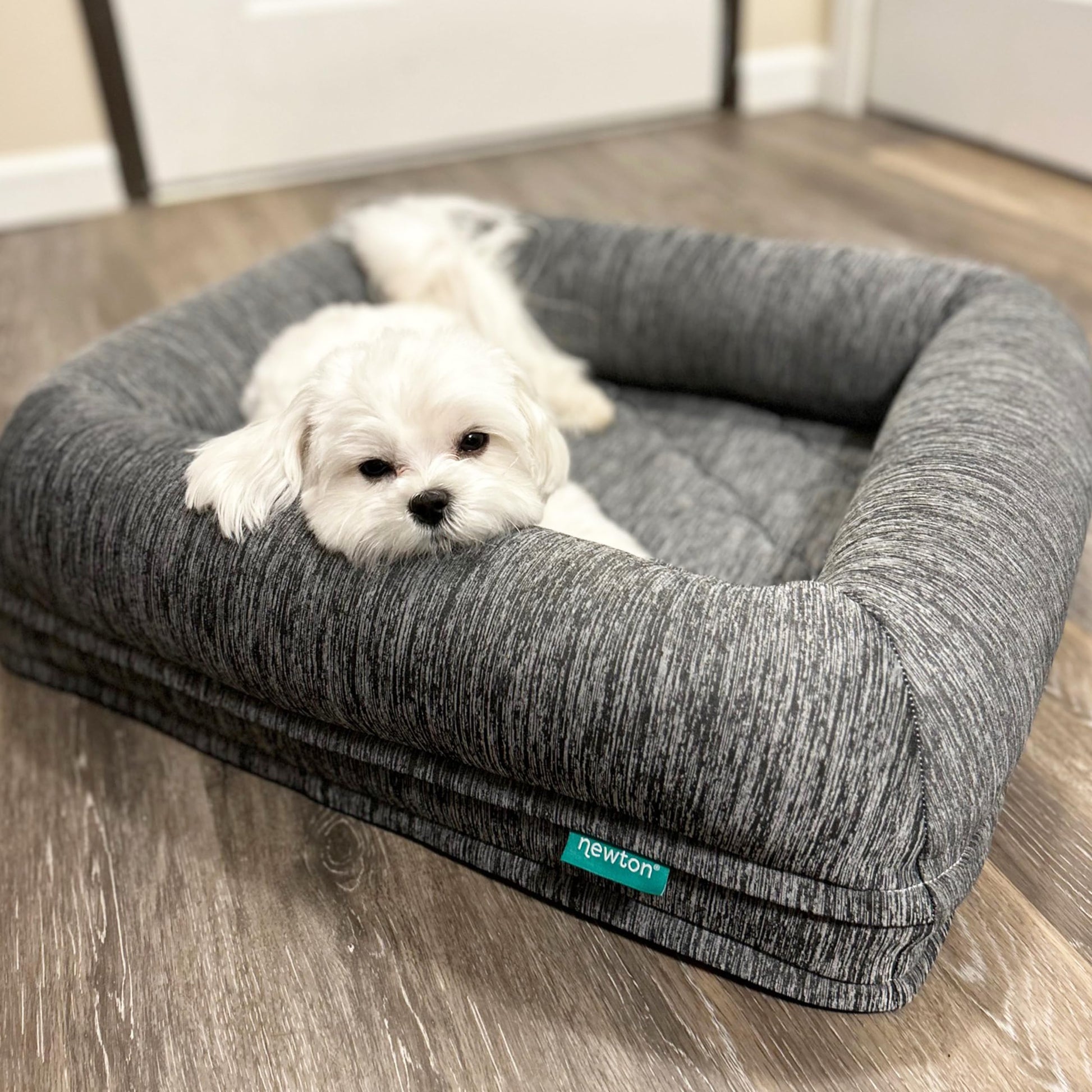 Newton Orthopedic Pet Bed - Washable Dog Bed for Small Dogs Puppy Bed Crate Bed with Removable & Breathable Dog Bed Cover Comfy & Durable Dog Bed for Small to Large Dogs Dog Essentials Small Best YouTube Store
