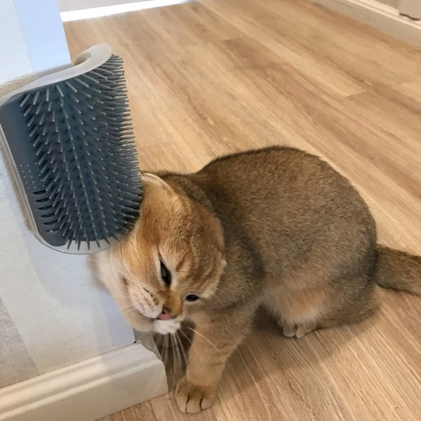 Cat Self-Grooming Wall Brush Pets Fashion