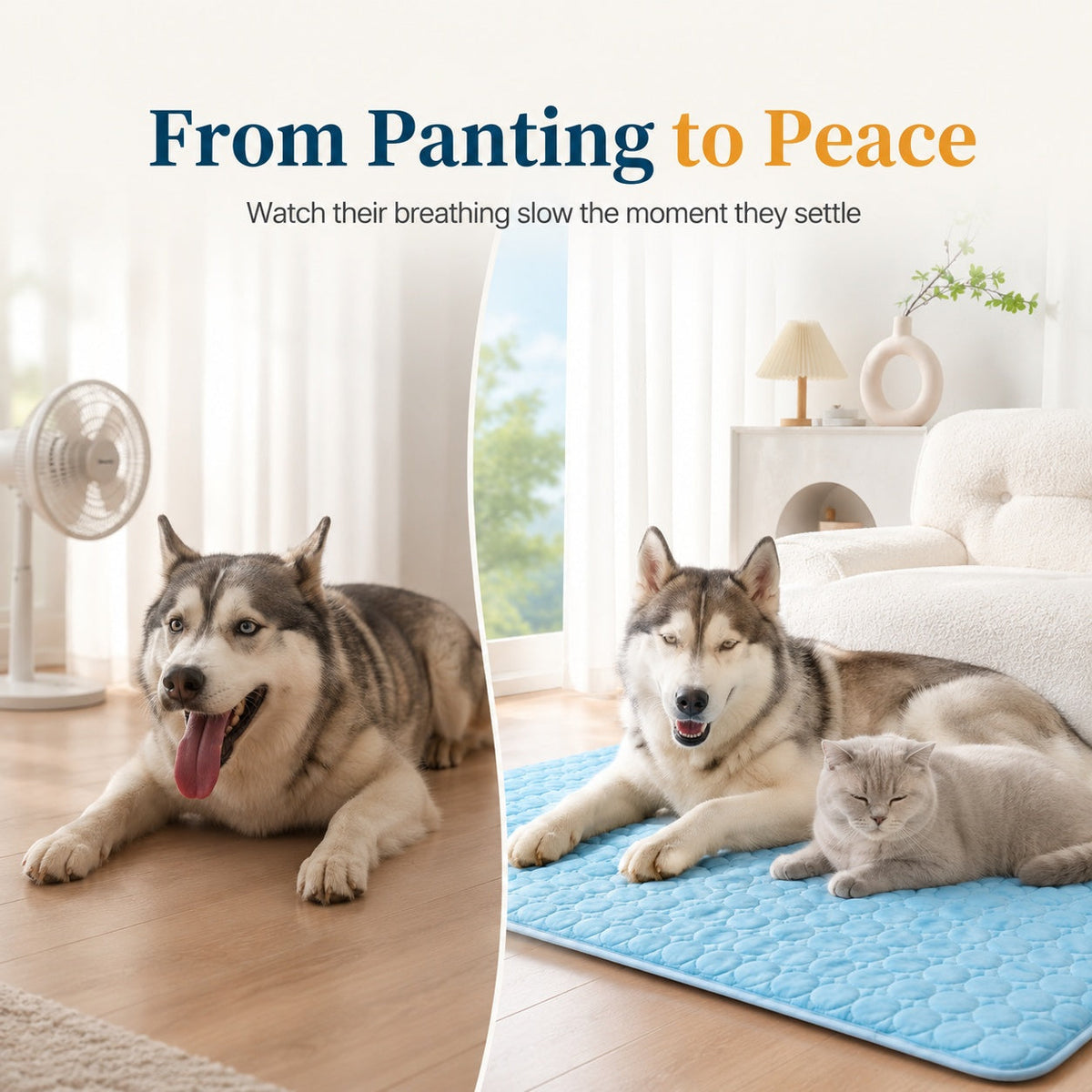 Round Pet Cooling Ice Pad - Summer Cooling Mat For Dogs & Cats Pets Fashion