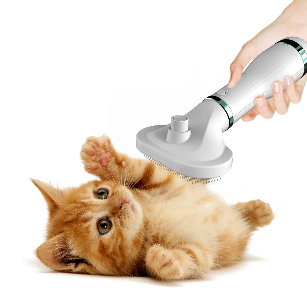 Pet Comb Hair Dryer Pets Fashion