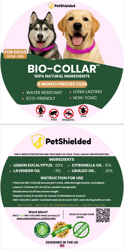 Pet Anti-mosquito Collar Cat Dog Adjustable Insect Repellent Collar Pet Supplies Pets Fashion