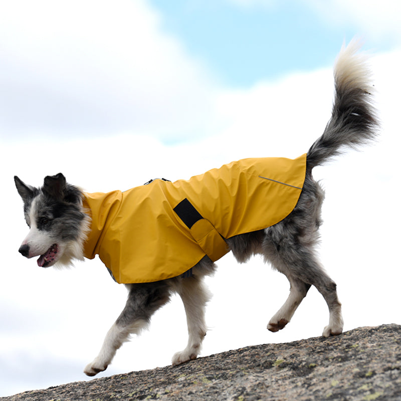 Pet Shell Jacket Dog Waterproof Windproof Raincoat Pets Fashion