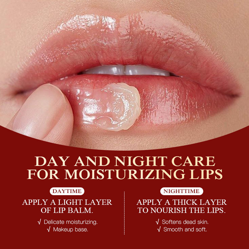 KORMESIC Christmas Moisturising Avocado Lip Balm For Foreign Trade 5.5g Tri Light Beauty