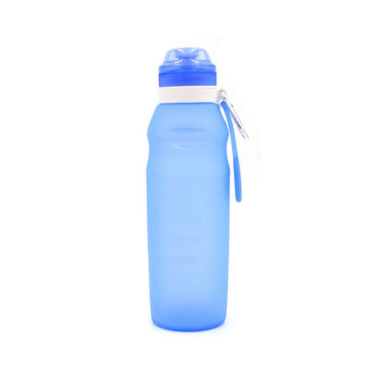 Outdoor Foldable Sports Water Bottle LadyShow.Store