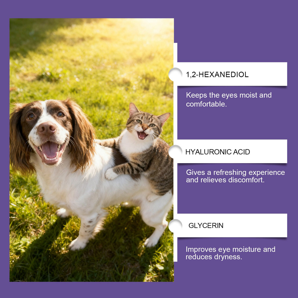Pet Eye Drops Gently Care For Cats And Dogs' Eye Tear Stains, Tear Marks, And Eye Discharge Pets Fashion