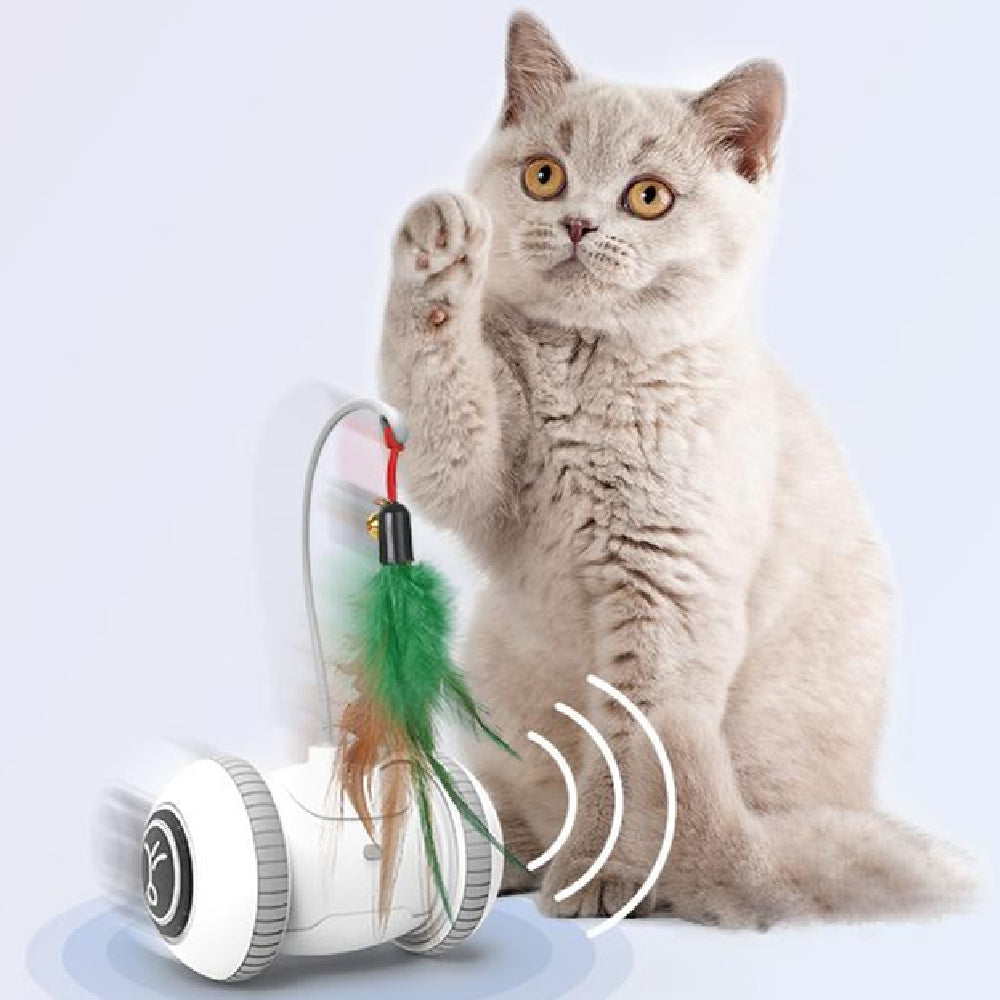 Interchangeable Cat Feather Toy Pets Fashion