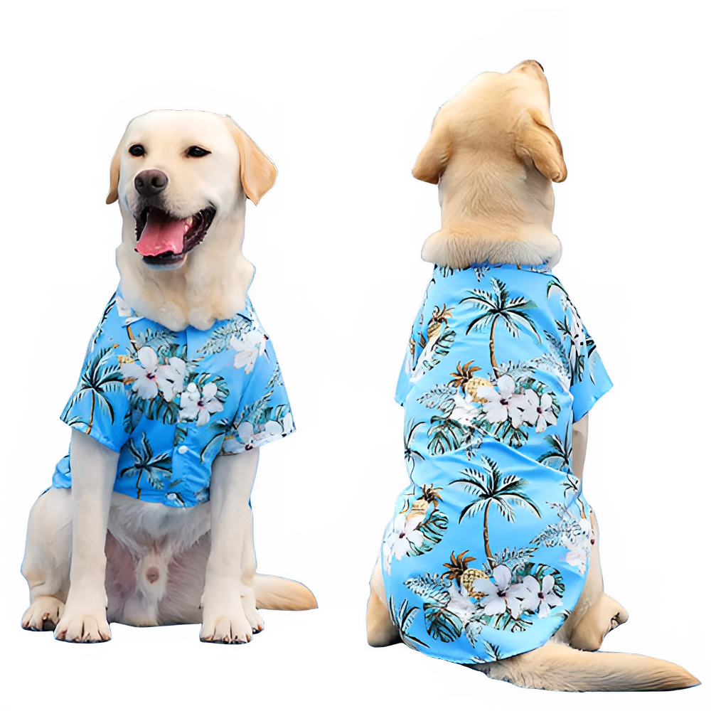 fde9f17f-249f-4c4d-b3b9-8e1e4d3937d5