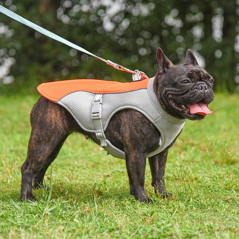 Summer Pet Outdoor Breathable Cooling Vest Pets Fashion