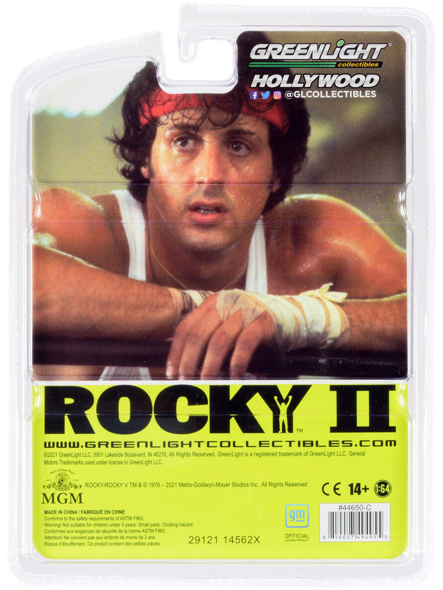 1979 Pontiac Firebird Trans Am T/A Black with Hood Bird "Rocky II" (1979) Movie "Hollywood Series" Release 5 1/64 Diecast Model Car by Greenlight LuxuryLifeWay Online Store