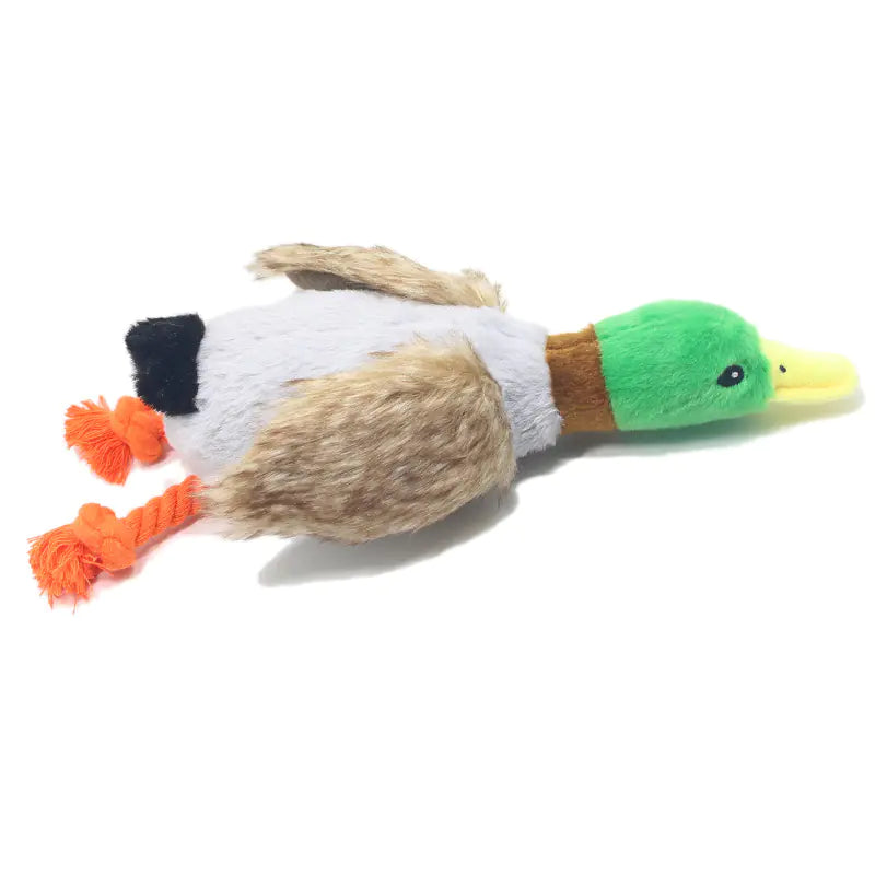 Quack Play Plush Dog Toy