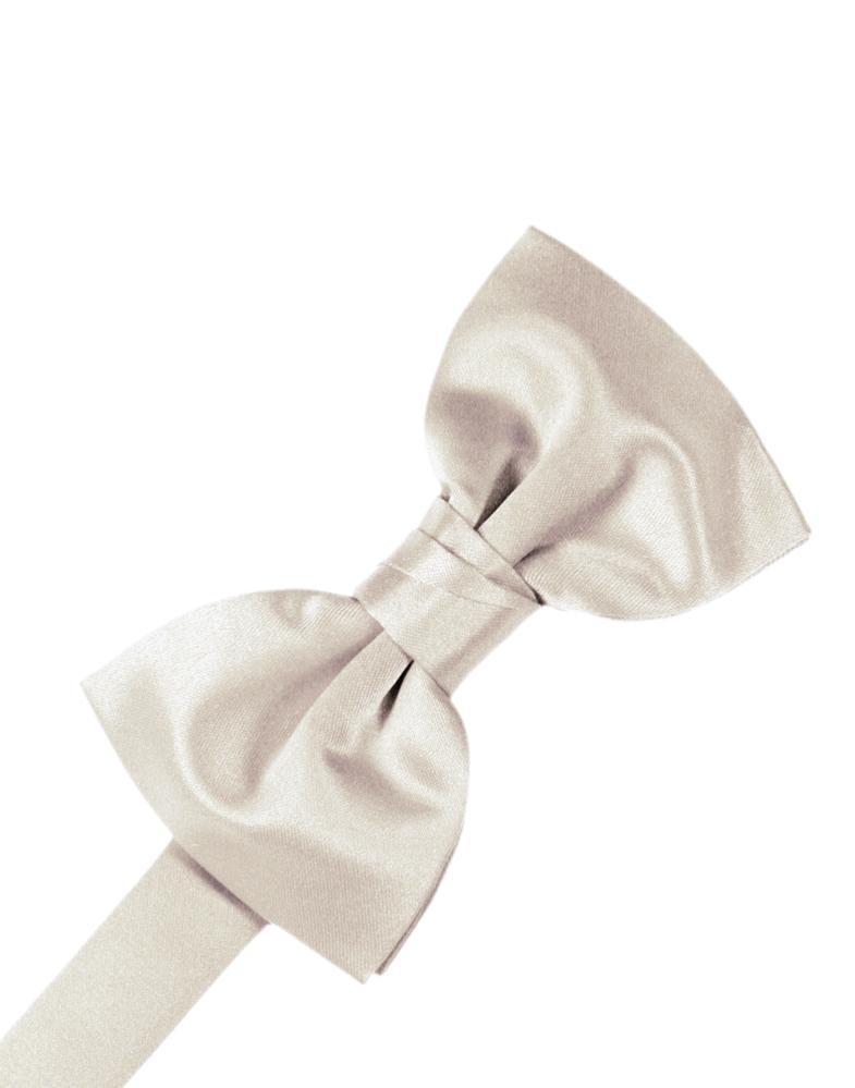 Luxury Satin Bow Tie LuxuryLifeWay Online Store