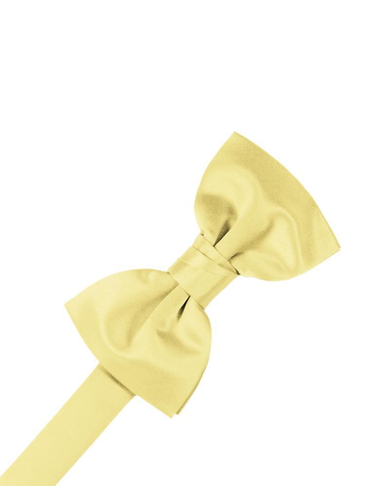 Luxury Satin Bow Tie LuxuryLifeWay Online Store