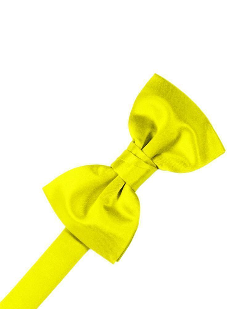 Luxury Satin Bow Tie LuxuryLifeWay Online Store