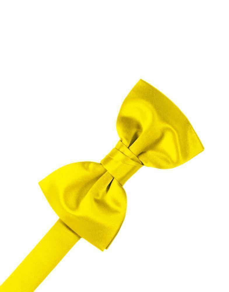 Luxury Satin Bow Tie LuxuryLifeWay Online Store