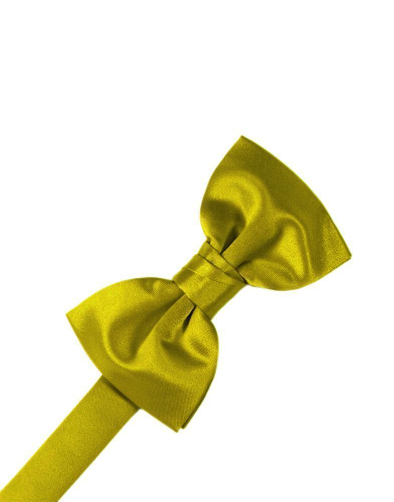 Luxury Satin Bow Tie LuxuryLifeWay Online Store