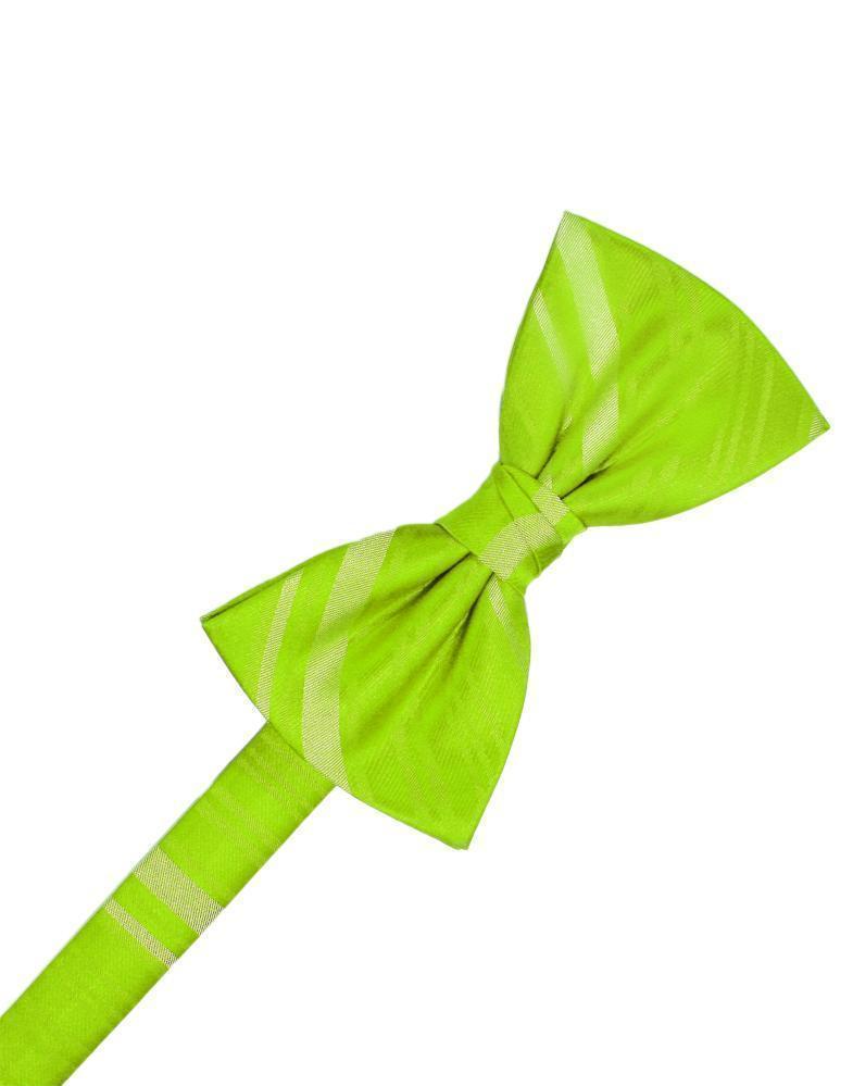Striped Satin Kids Bow Tie LuxuryLifeWay Online Store