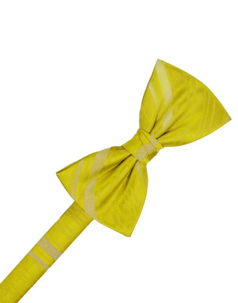 Striped Satin Kids Bow Tie LuxuryLifeWay Online Store