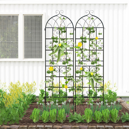 Costway 2 Pack 71" x 20" Heavy-Duty Metal Garden Trellis Metal Coating Patio for Outdoor LuxuryLifeWay Online Store