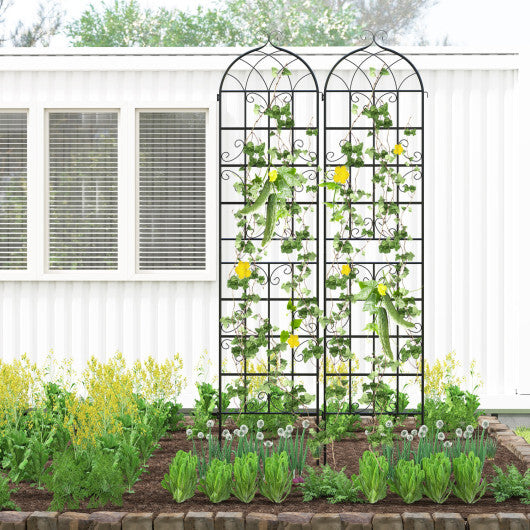 Costway 4 Pack 86" x 20" Metal Garden Trellis  Heavy-Duty Plant Support for Vegetable LuxuryLifeWay Online Store